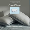image:imageCoop Cool Pillow Cover Queen Size Cooling Pillow Cover for Memory Foam Pillows Ultra Soft WrinkleResistant amp Breathable Cases with Zipper Cooling Bed Pillow Cover for Hot SleepersEden Cool Pillowcase