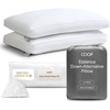 image:imageCoop Home Goods Essence Cooling Down Alternative Pillows Set of 2 Queen Size Adjustable Cooling Pillow for Hot Sleepers CoolTouch Luxury Hotel Pillows for Stomach Back or Side Sleepers 27x17Classic